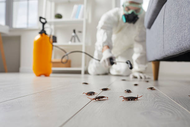 Commercial Kitchen Cockroach Control in Avenue B and C